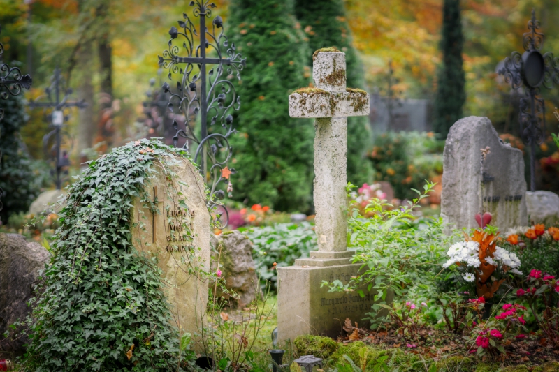 funeraire-MONTFORT SUR ARGENS-min_cemetery-4653166